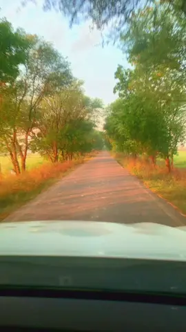 #100k #aflatoun #foryou #viral 