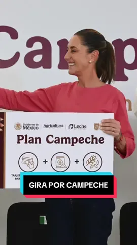 Durante la gira de trabajo por el sureste del país, dimos banderazo a la obra del acuaférico, que forma parte del programa Agua para Campeche para abastecer a más de 250 mil habitantes. Presentamos el Plan Campeche, que apoyará de manera directa a productores de leche, arroz y carne. También supervisamos el Hospital de Gineco Pediatría No. 15 del IMSS. Trabajamos sin descanso por el bienestar del pueblo de México. #fyp