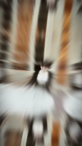 😛Gọi em la gì ? #xh #fyc