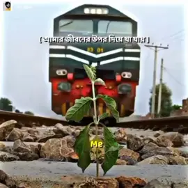 যেমনি আছে আলহামদুলিল্লাহ 🥰🥰 #vairal #foryou #for #alhamduillah #vairalvedio @DD🫰 @Lamia Israt @SAMRAT♟️ @HM Masud @romzan @Arif Khan 