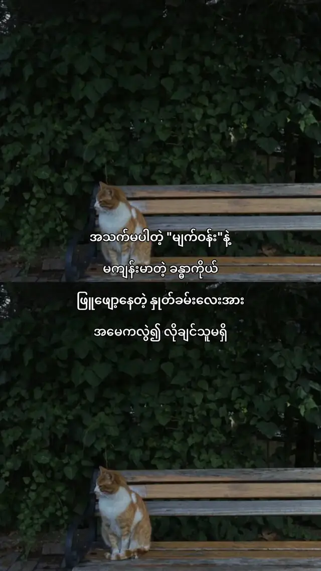 #foryou #xyzbca #fyp #စာသားcrd 