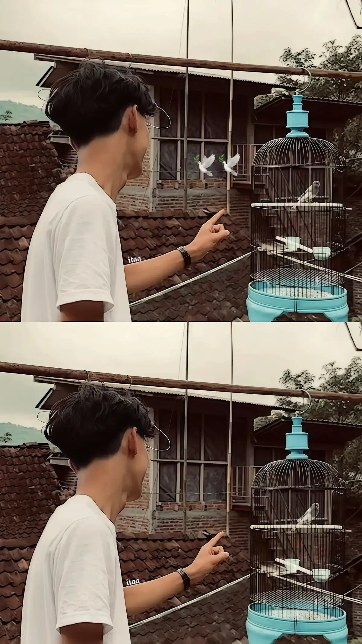 #faisallovers #affanfaisal 