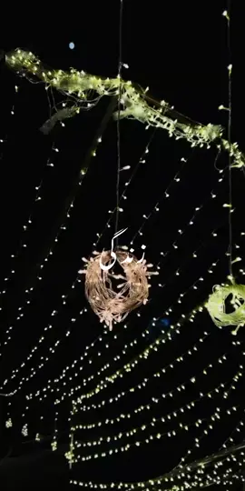 روٹھا روٹھا ہے نصیبہ روٹھی روٹھی ہر خوشی 🕊🫀 repost request |||lyrics song editor by glxsyy_rosethetic_🕊||| #trending #lyrics #forever #tiktokviral #unfrezzmyaccount #viwesproblem 