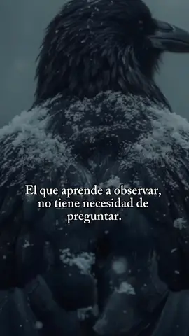 #frases #fypシ #parati 