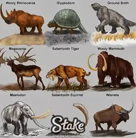 Megaloceros #UK #viral #foryou #USA #unfreezemyaccount 