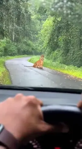 jangan sesekali ada niat jahat?.. #fypシ゚viral🖤tiktok☆♡🦋myvideo  #fypppppppppppppppppppppp 