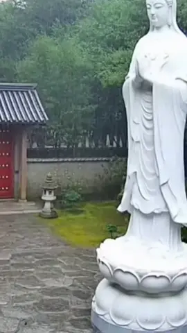 Nam Mô Quán Thế Âm Bồ Tát #nammoadidaphat #nammoquantheambotat #nammothichcamauniphat #phatphapnhiemmau #ommanipadmehum 