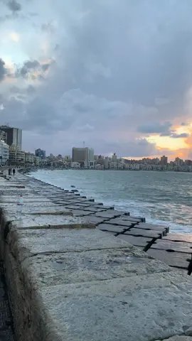 #alexandria #fyp #viral #fypシ #اليسا 