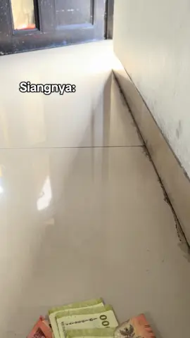 Siangnya ngepet, malamnya…😅 #kucinglucu #kucinggemoy #bsh #kucingtiktok #kucingviral 