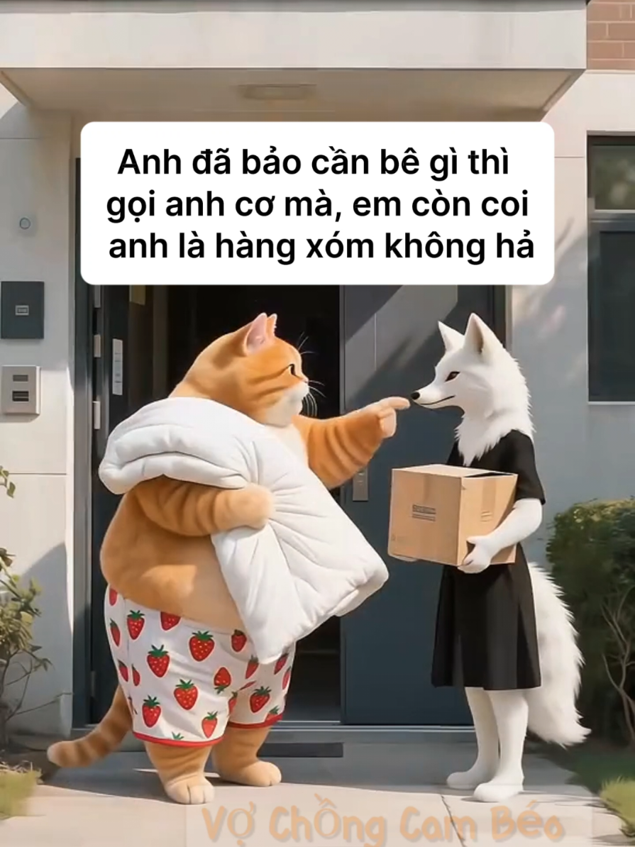 Chịu vợ chồng nhà Cam Béo 🤣 #meocam #giaitri #hai #vochongcambeo 