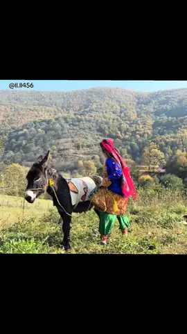 قلبي يسالني عليك ايوب_طارش #ايوب_طارش #اكسبلور#الرياض_جده_مكه_الدمام_المدينه #صنعاء_تعز_عدن_اب_ذمار_حجة_حضرموت#اليمن 