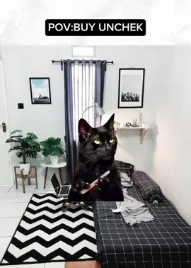 POV:buy unchek  #edukasi#jbwangsaf #zallstore#anakjb #fypppdong