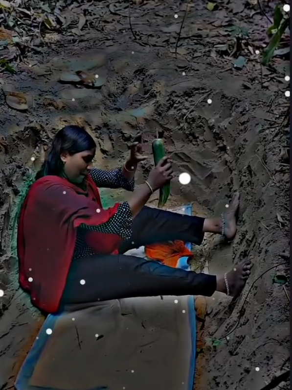 dog meeting 805 | #dogmeeting #growmyaccounttiktokxaynagirl #foryou #viral_video #dog #unfreezemyacount #trendingdogtik #santawithkashmirfyp  #puppydog804 