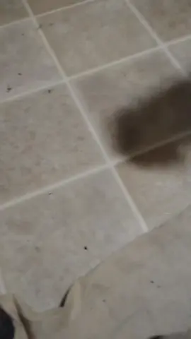 #nativetiktok #wisdom #fyp #comedy