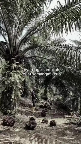 #CapCut #kulisawitmalaysia🌴🇲🇾🇮🇩 ketua galau berat#🥀 #fyp 