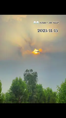 #الشته_عاد_امجاده_حجي😂👍  #تصويري_احترافي_الاجواء👌🏻🕊😴  #لايك_متابعه_اكسبلور 