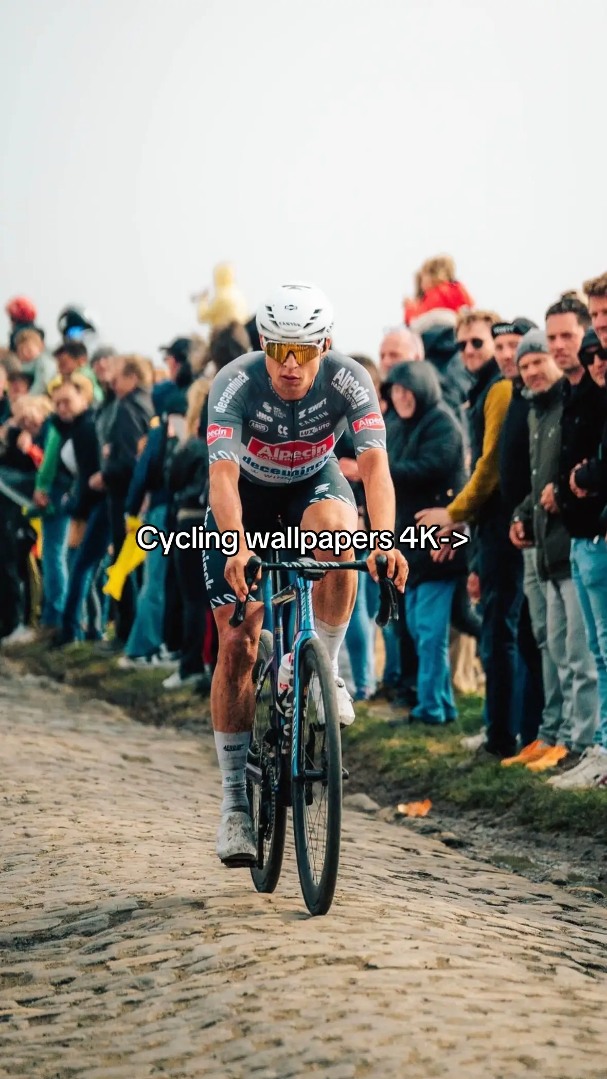 #mathieuvanderpoel#tadejpogacar  #fyp 