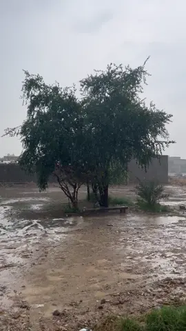 #الشيخ عوده الكعبي #عبدالله الشيخ عوده الكعبي #