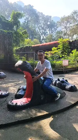 Khúc tình ca Thanh Hóa check in Thảo Cầm Viên 🐘🦒🦏 #rongthanhhoa #thanhhóa #thanhhoa #donghuong #hoathanhque 