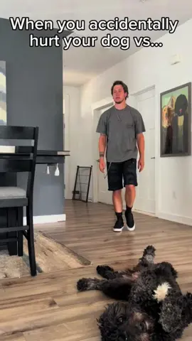 #foryou #dog #dogsoftiktok #pet #PetsOfTikTok 