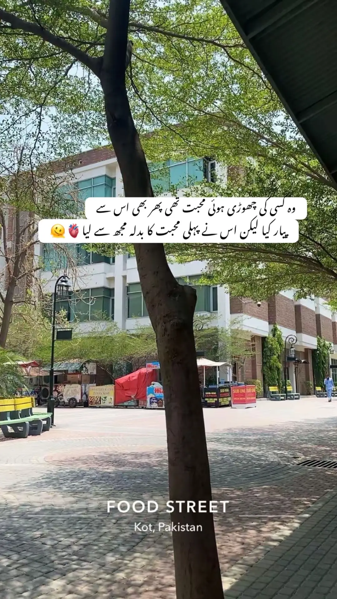 محبت🫀🫠 Caption 🦋🍁report…S.c_kaif_gujjar15#foryoupage #fypシ゚ 