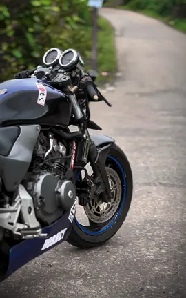 ඔයාලට හොනට් පිස්සූව බෝ කරේ කවුද?🥹😽 #honet250 #hornetridersclub🐝🇱🇰hrc #downsouth🇱🇰 #aluthgama #matara 