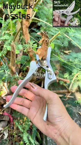 ที่ตัดกิ่งไม้ กรรไกรตัดกิ่งไม้ญี่ปุ่น#กรรไกรญี่ปุ่นเหล็กsk5 #กรรไกรตัดกิ่งญี่ปุ่น #กรรไกรตัดกิ่งไม้ทดแรง3จังหวะ #กรรไกรตัดหญ้า