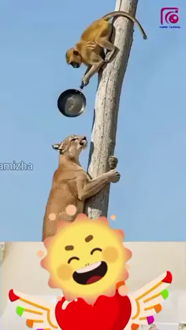 😂😂😂😂😂😂😂😂😂😂