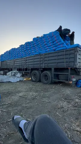 #lounssilage #maroco🇲🇦algeria🇩🇿tunisia🇹🇳 