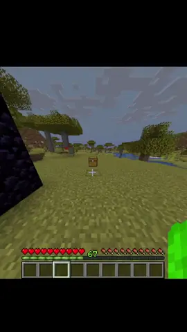 #Minecraft #fyp #xuhuong 