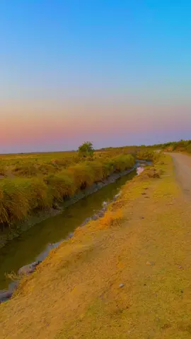 #اللهم_صلي_على_نبينا_محمد #تحياتي_لجميع_المشاهدين_والمتابعين #تصوري_احترافي_الاجواء👌🏻🕊😴 