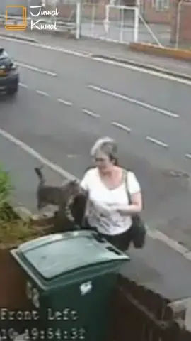 karma melempar kucing ke tong sampah | mary bale #storytelling #kisahnyata #faktaunik