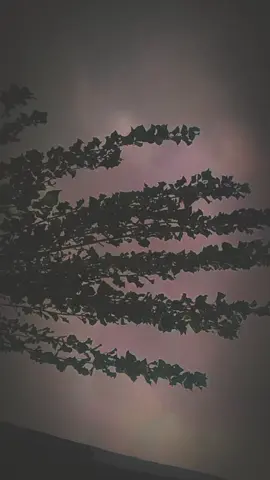 #مجرد________ذووووووق🎶🎵💞 #العرق_سوريا_الاردن_دول_الخليج #الشعب_الصيني_ماله_حل😂😂 #بس_هيج🖤🥀 #جيت_اقفل_ترندكم_وأمشيي🤍😂😂😂 