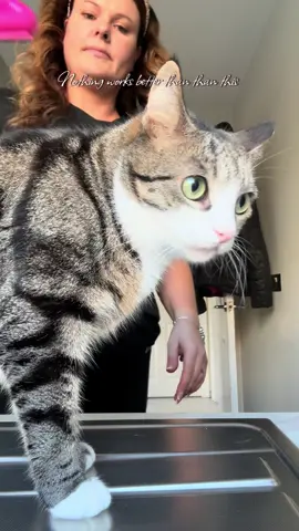 @Groomi Pet Care #groomibrush #petsheddingbrush #tiktokmademebuyit #blackfriday 