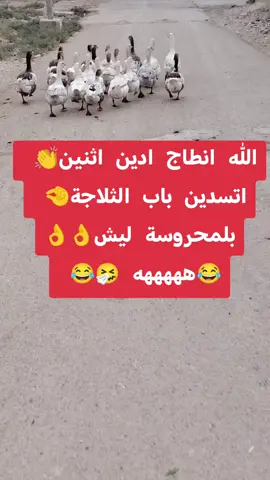 #أضافة_للحساب #😂😂😂 #هههههههههههههههههههههههههههههههههههههه #الشعب_الصيني_ماله_حل😂😂 #ههههههههههههههههههههههههه 