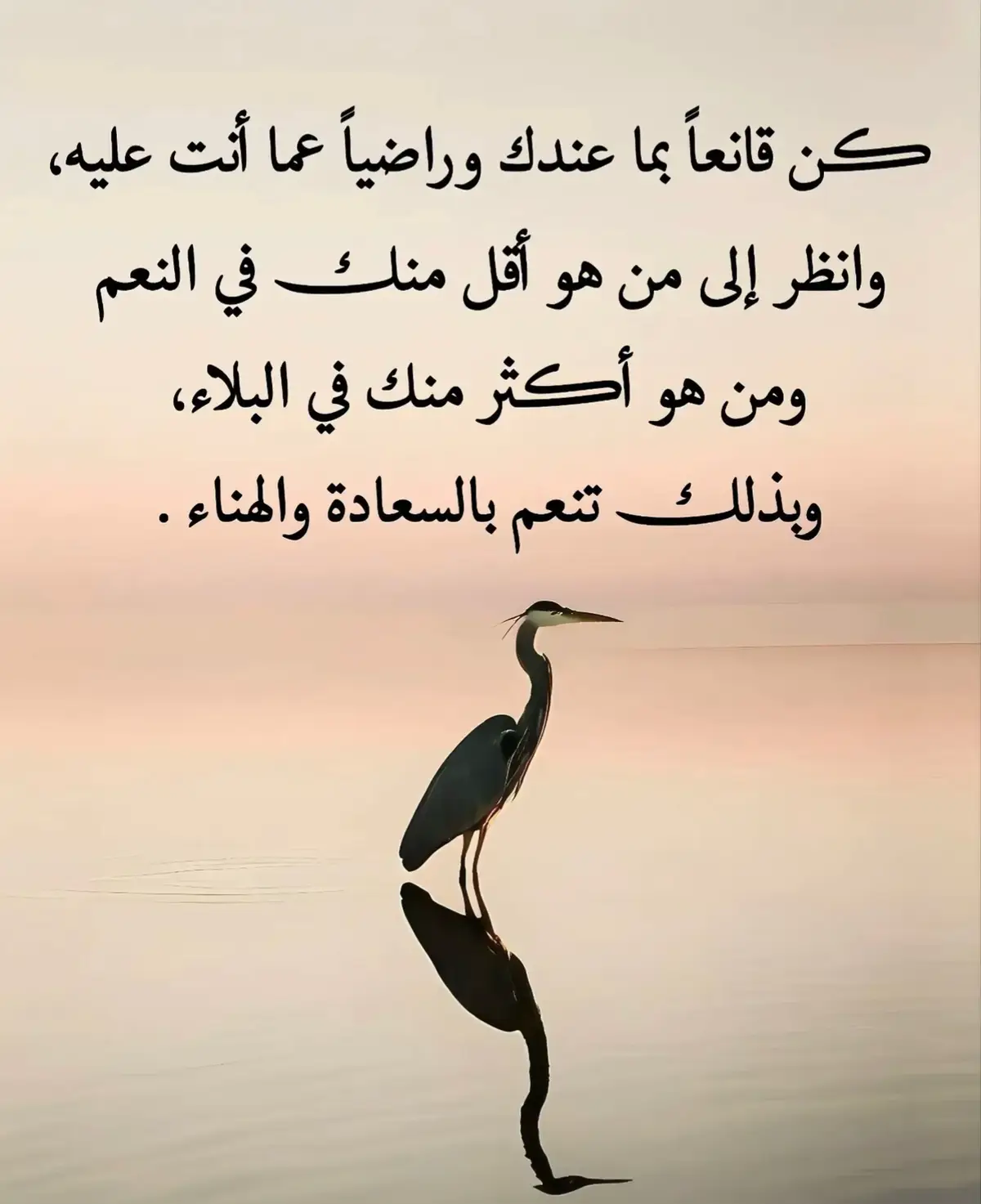 #اكسبلور🌹💕🌹  أنشهد 💐🌹✅