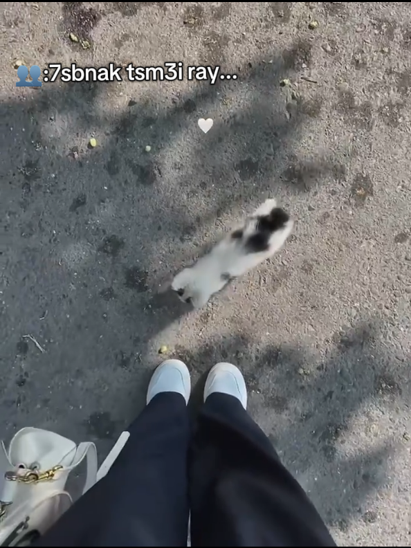 👐🏻🌚 No, I don't like Ray #الشعب_الصيني_ماله_حل😂😂 #fypppppppppppppp #fyp #🇹🇳🇩🇿🇲🇦 #🇩🇿🇲🇦🇹🇳 