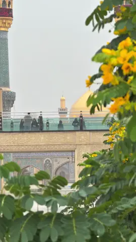 #يفيض غمامُ الشوقِ عندَ ضريحِهِ وتهطلُ آياتُ الصبابةِ بالطُهرِ#النجف #مرقد_الامام_علي_عليه_السلام #امطار_الخير #ياعلي_انت_الولي #الحمدلله_دائماً_وابداً #مشاهير #مشاهدين 