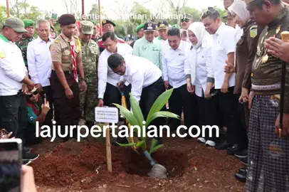 peluncuran gerakan di selayar tanam kelala 5 juta guna memlercepat prodhksi dan hikirisasi #kementan #petqni #krlapa #pangan #hilirisasi