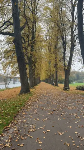 اللهم اشفي من يتألم و نحن بالنوم منعمين و من يبكي وجعاً و نحن بملذاتنا غارقين🤍#اكسبلور #uk #مطر #خريف #oops_alhamdulelah 