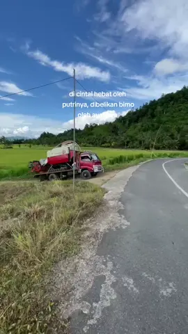 nyenengi poll🤝#fyppage #masukberanda #maxxibimo110plus #4u 