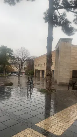 Memlekette ne var ne yok 😂