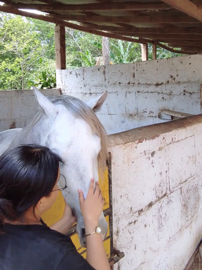 Gracias por llevarme a tu mundo @Peche Mendieta , te amo🤍✨  #fyp #parati #caballos 