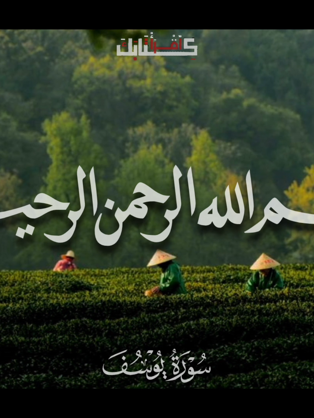 🦩|  وَمَا أُبَرِّئُ نَفْسِي 🤎 .  .  .  #قران #quran #محمود_الشحات_أنور 