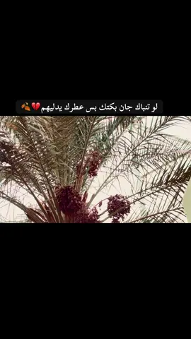 عباراتكم #تصويري_احترافي_👌🏻🕊😴🎬 #حزينシ🥺💙،، #حزينہ♬🥺💔 