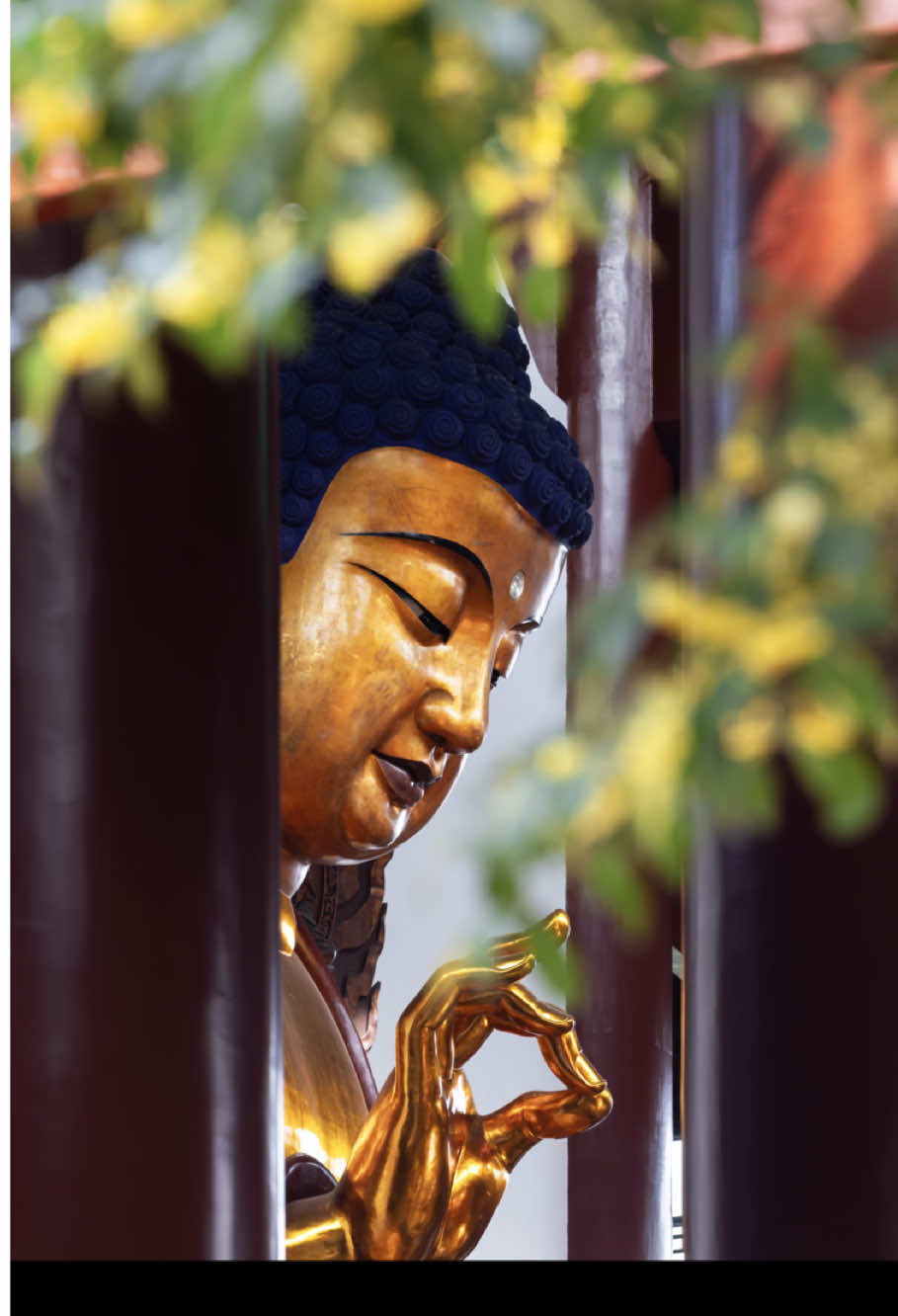 3 điều cần giữ trọn trong 1 đời người 🍁🍁🍁 #phatgiao #daophat #phatphapnhiemmau #buddha #trietlycuocsong 