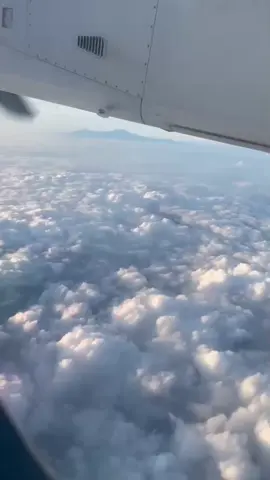 @Dan wa crownmedia always a good time ❤️😍