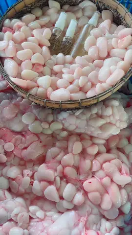 #livehighlights #tiktoklive #mỡtrăn #mỡ_trăn_tươi #trânphan  @Trân Mỡ Trăn 2  @Trân Mỡ Trăn 2  @Trân Mỡ Trăn 2 