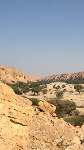 حوطة_بني_تميم#الاحمرة#بعيجا#