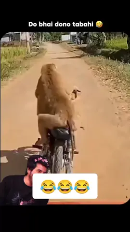 foryou trick and TikTok account available come Whatsapp 03430374290